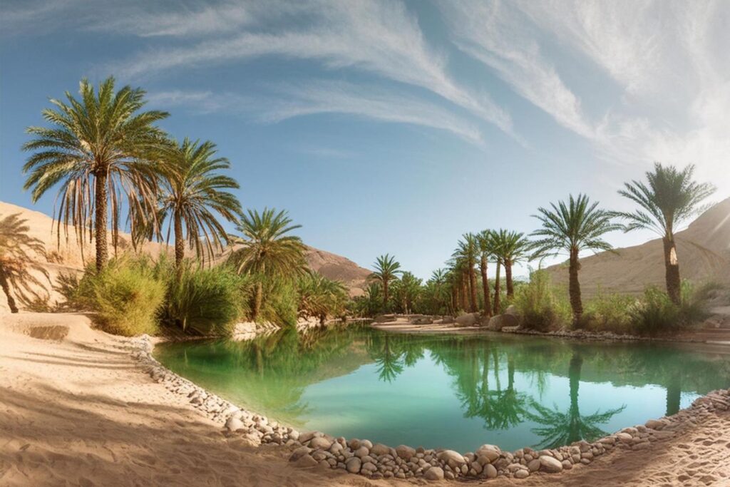 oasis in the middle of a desert. Surrounded by tall, lush palm trees and green vegetation, the clear, calm water reflects the blue sky above.-min